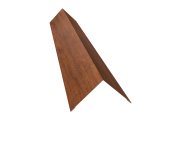 Угол внешний 110х110 0,45 Print Premium Golden Wood Fresh TwinColor (3м) Центр Кровли